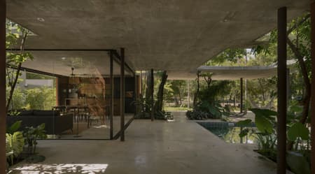 A Forest in the House